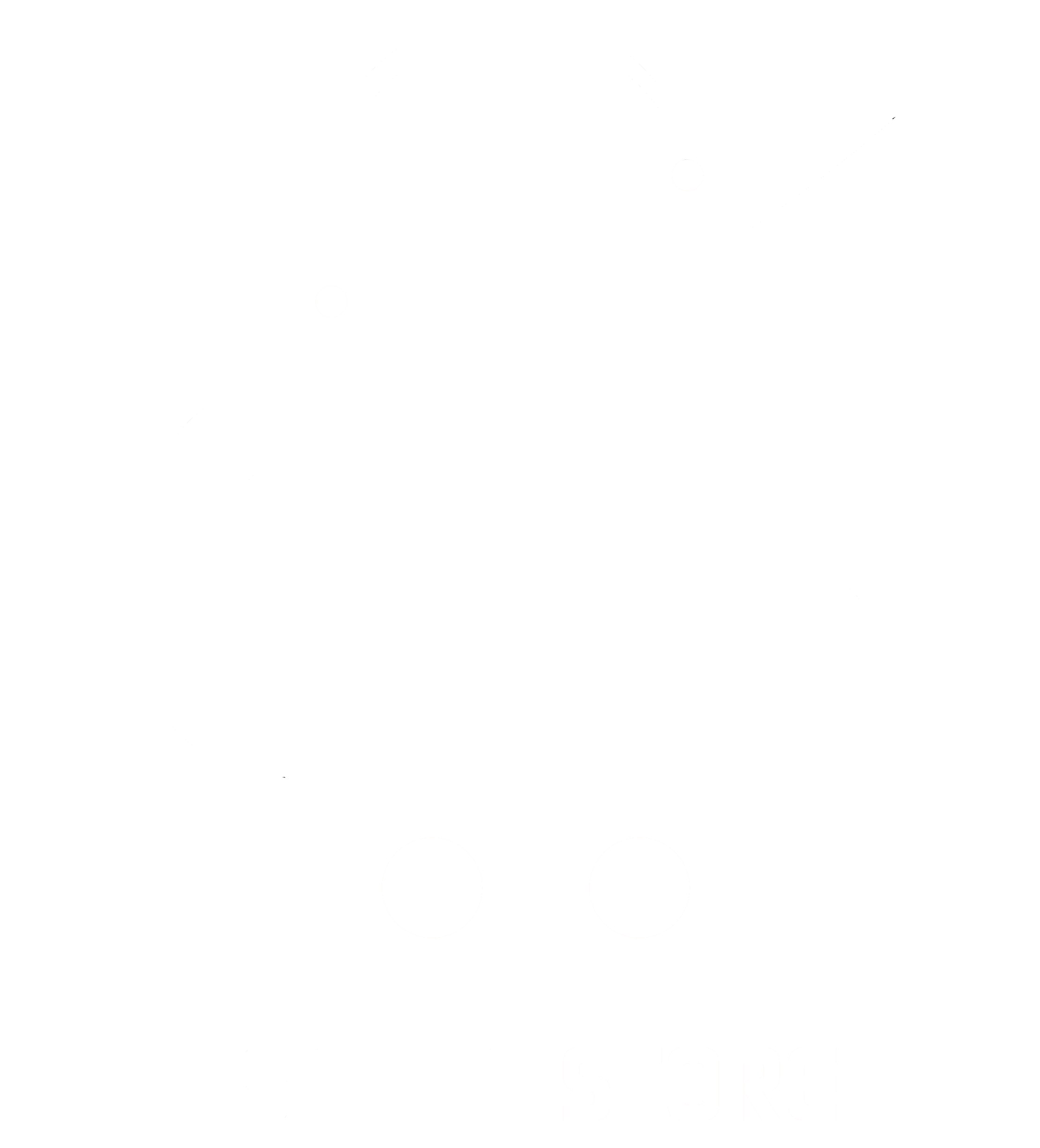 Saffa Store Logo